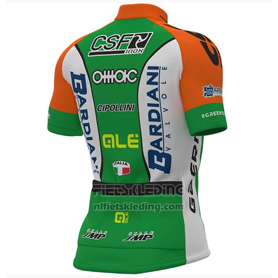 2018 Fietskleding Bardiani Csf Groen en Wit Korte Mouwen en Koersbroek